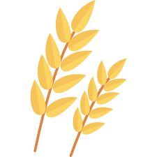 Food Grains