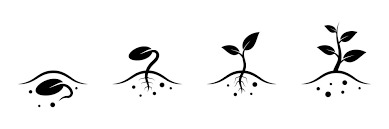 Seeds and Saplings
